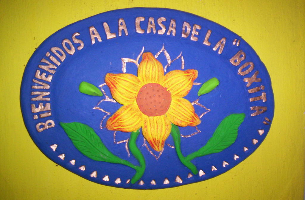 Posada El Jardin Ticul Room photo