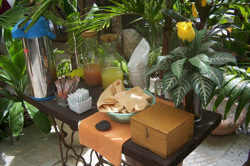 Posada El Jardin Ticul Exterior photo